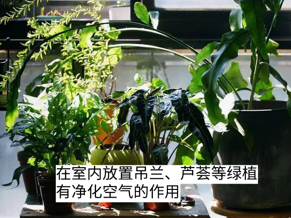 刚装修完的房子怎么去除甲醛