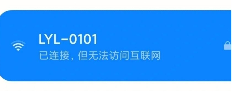 wlan已连接不可上网是什么原因？专业电脑维修