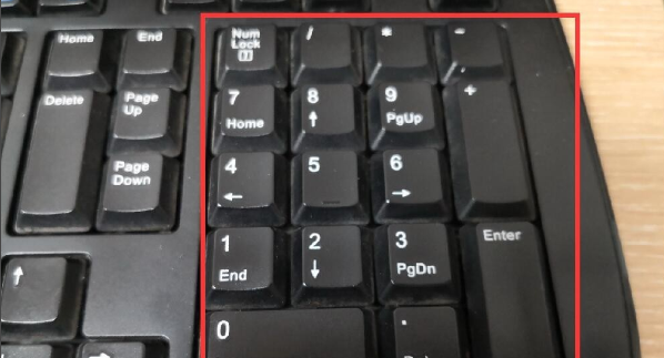 新手电脑键盘功能介绍？专业电脑维修