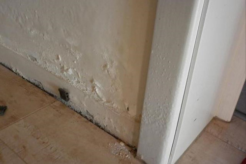 房间潮湿墙壁有什么办法解决