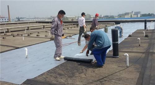 聚氨酯防水涂料能做屋顶防水吗